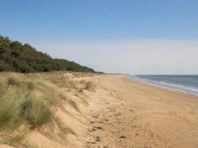 Dune, pins maritimes et plage de la côte sud vendéenne à Saint-Vincent-sur-Jard